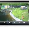 Pocket Zoo iPhone App With Live Zoo Cam