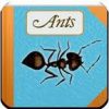kids apps WORLD OF ANTS