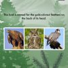 My Birds of Prey HD