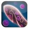 Cell and Cell Structure