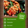 Wild Berries & Herbs