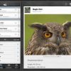 Birds Pro HD
