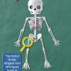 Skeleton Dance