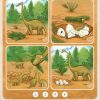 Moose & Zebra: Dinos