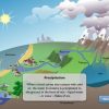 Water Cycles