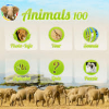 Animals 100 – real animals