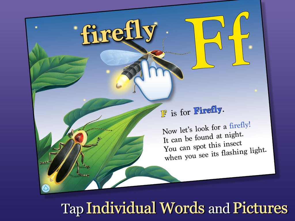 Interesting facts about insects. Amazing insects Interesting facts about insects. Amazing insects