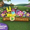 Gro Flowers