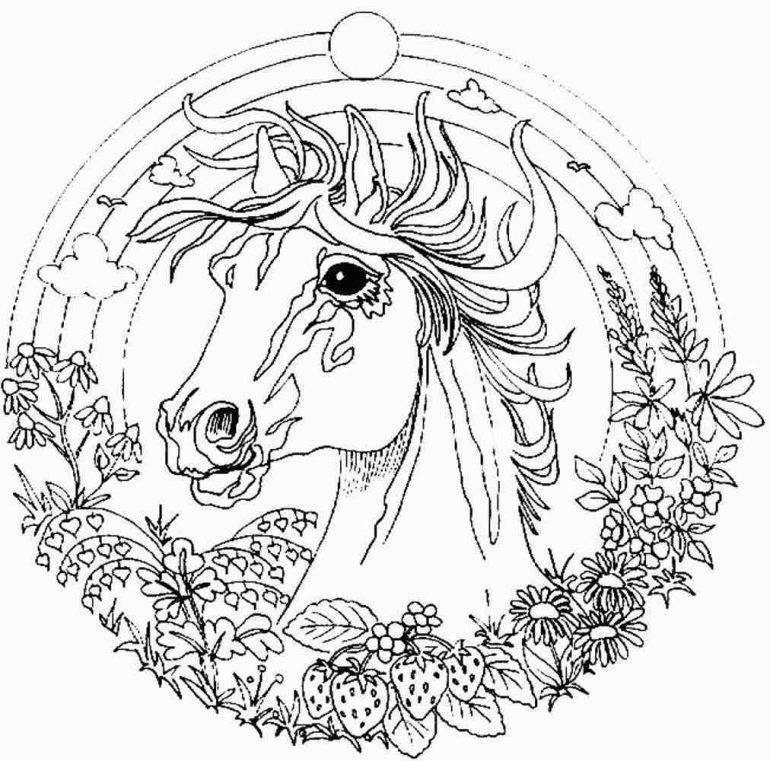 The Special Characteristic of the Coloring Pages for Adults
