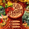 Billy Possum’s Interactive Comprehension