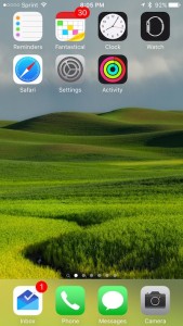 screenshot of home screen