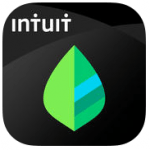 Mint.com icon