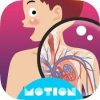 MotionBody