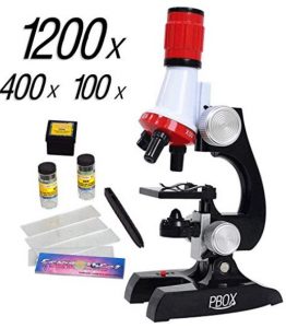 Beginner Microscope For Kids