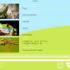 Animal Sounds, Photos and Info