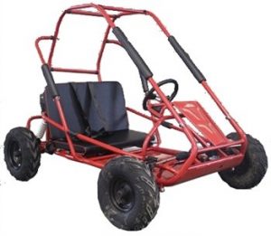 TRAILMASTER 200CC