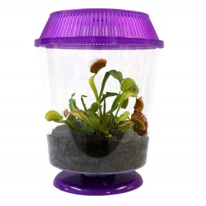 Nature Gift Store Adult Venus Flytrap