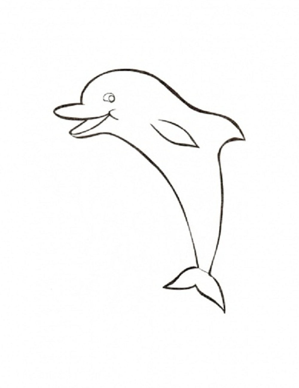 Animal How To Draw A Baby Dolphin Sketch for Kindergarten