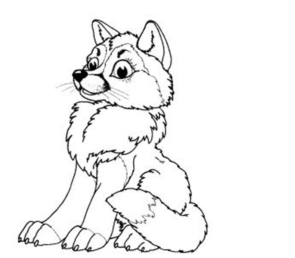 baby wolf coloring pages     BestAppsForKids.com