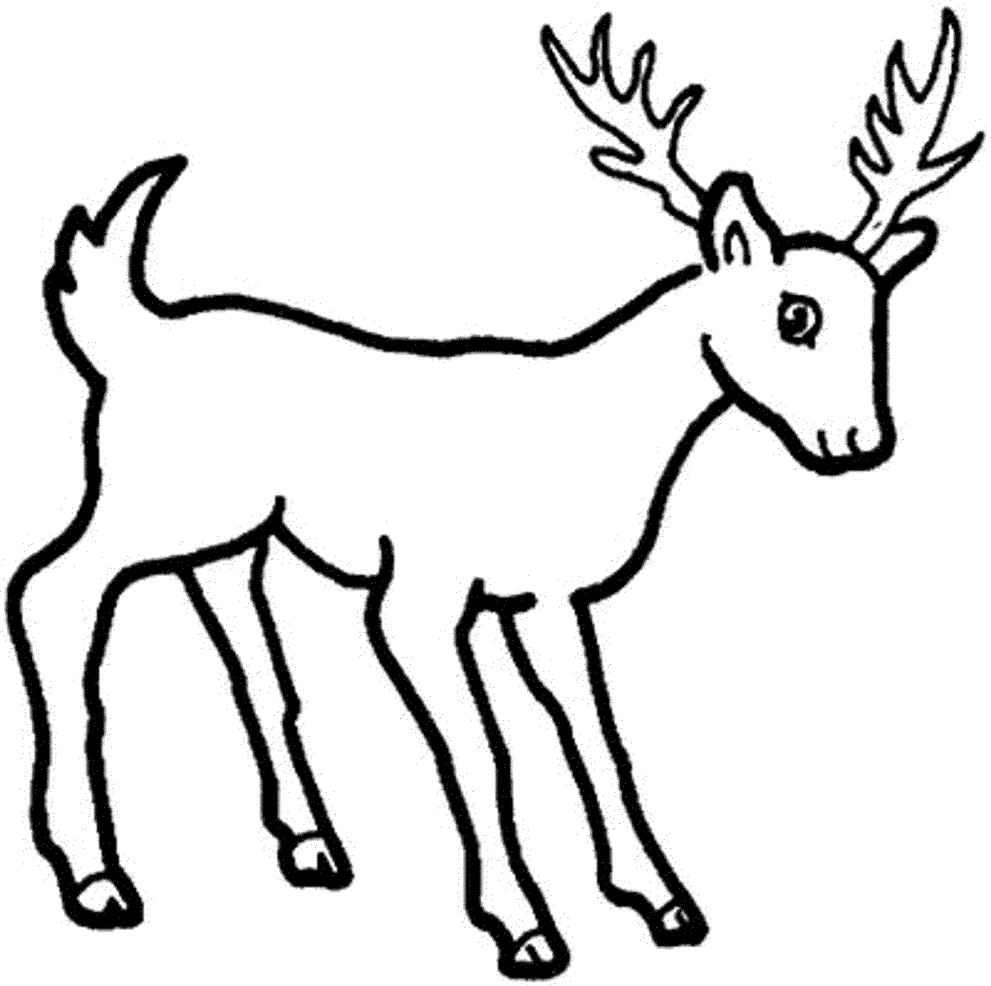 Print & Download - Deer Coloring Pages for Totally Enjoyable Leisure