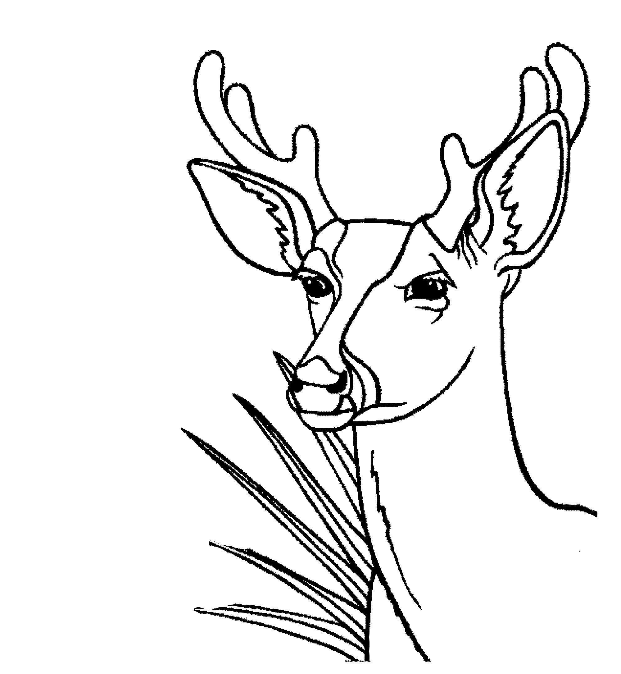 deer-printable-coloring-pages