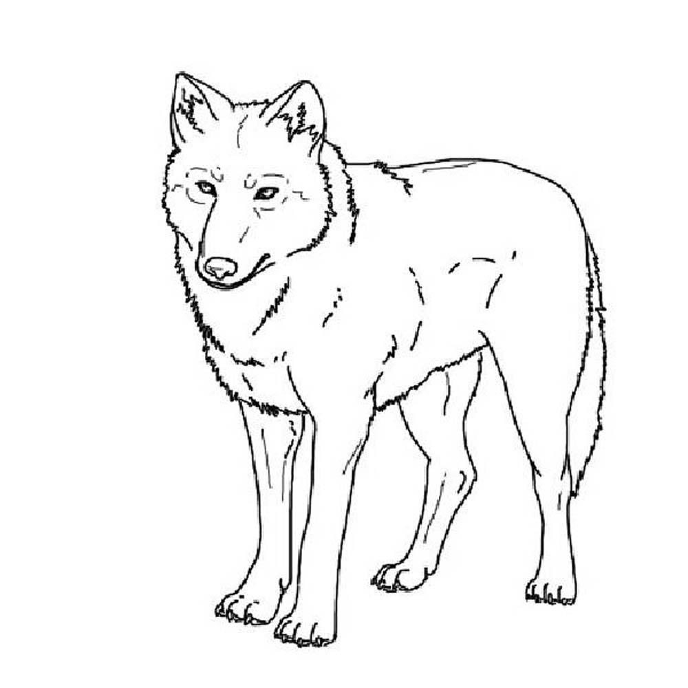 print-download-wolf-coloring-pages-theme