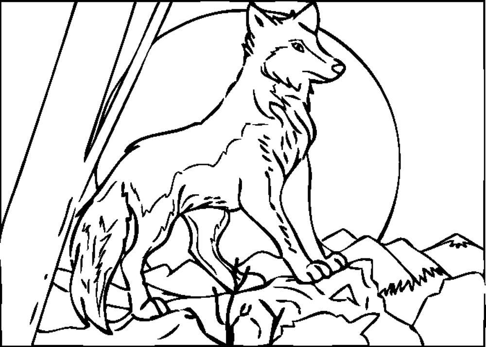 Coloring Page Of Wolf