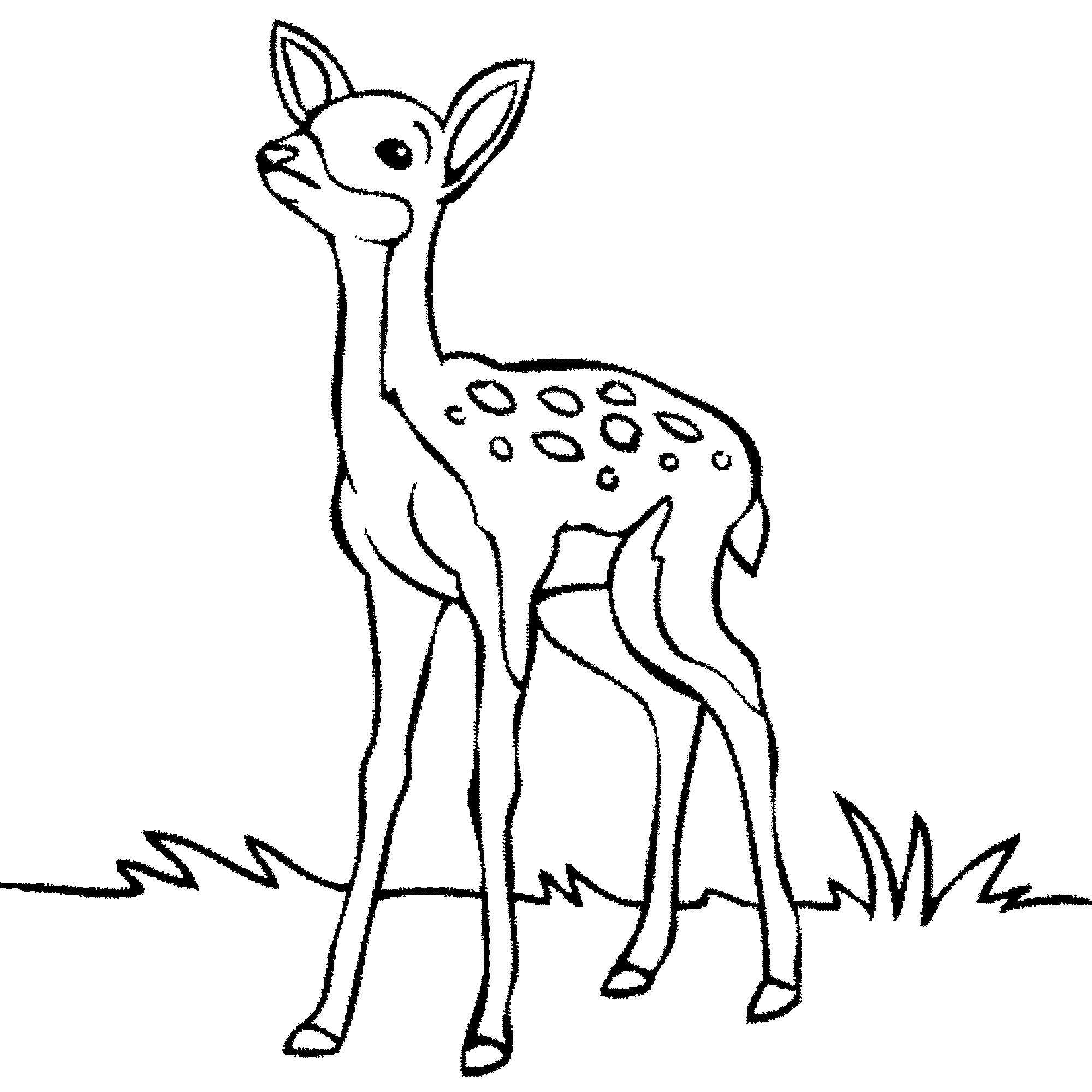 Print & Download - Deer Coloring Pages for Totally Enjoyable Leisure