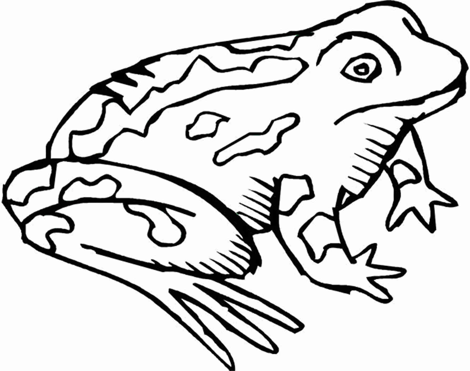 print  download  frog coloring pages theme for kids