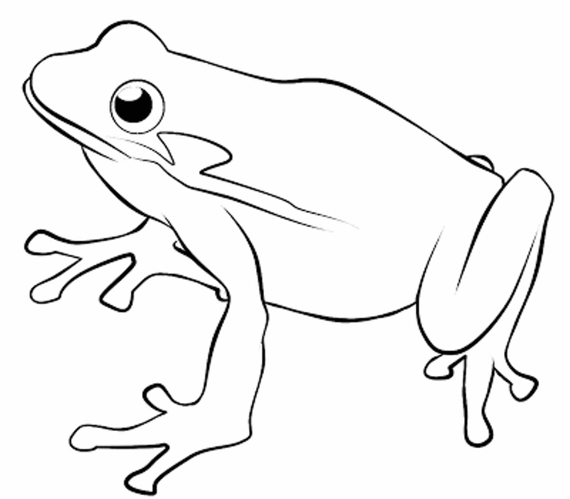 Print Download Frog Coloring Pages Theme For Kids