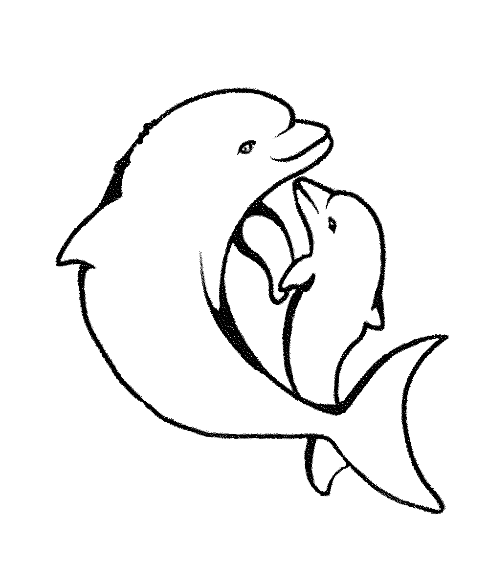 Download Print & Download - My Experience of Making Dolphin Coloring Pages