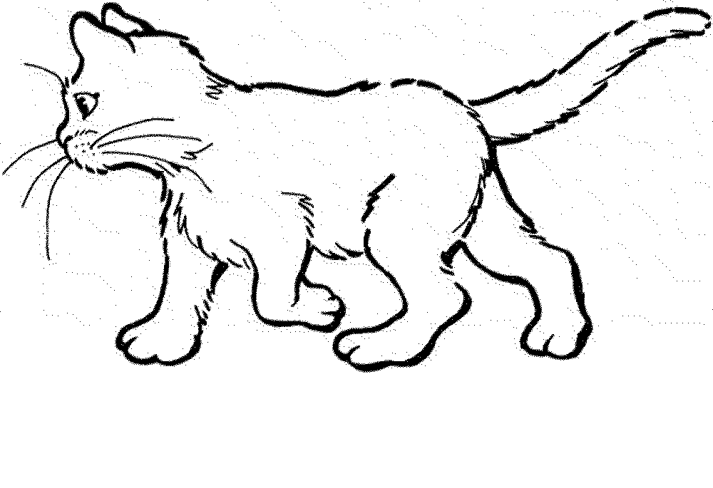 Print & Download - The Benefit of Cat Coloring Pages