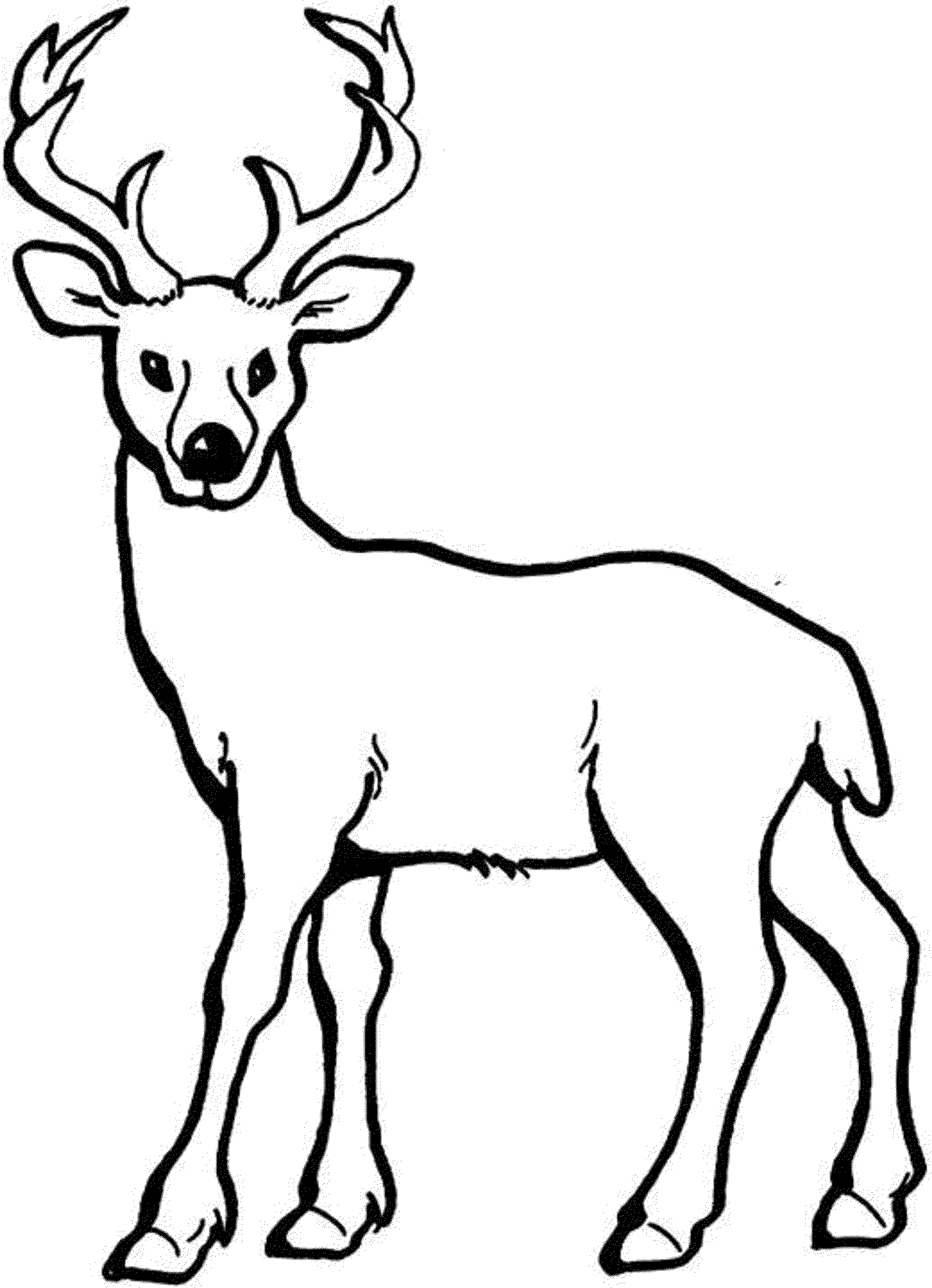 realistic-deer-coloring-pages | | BestAppsForKids.com