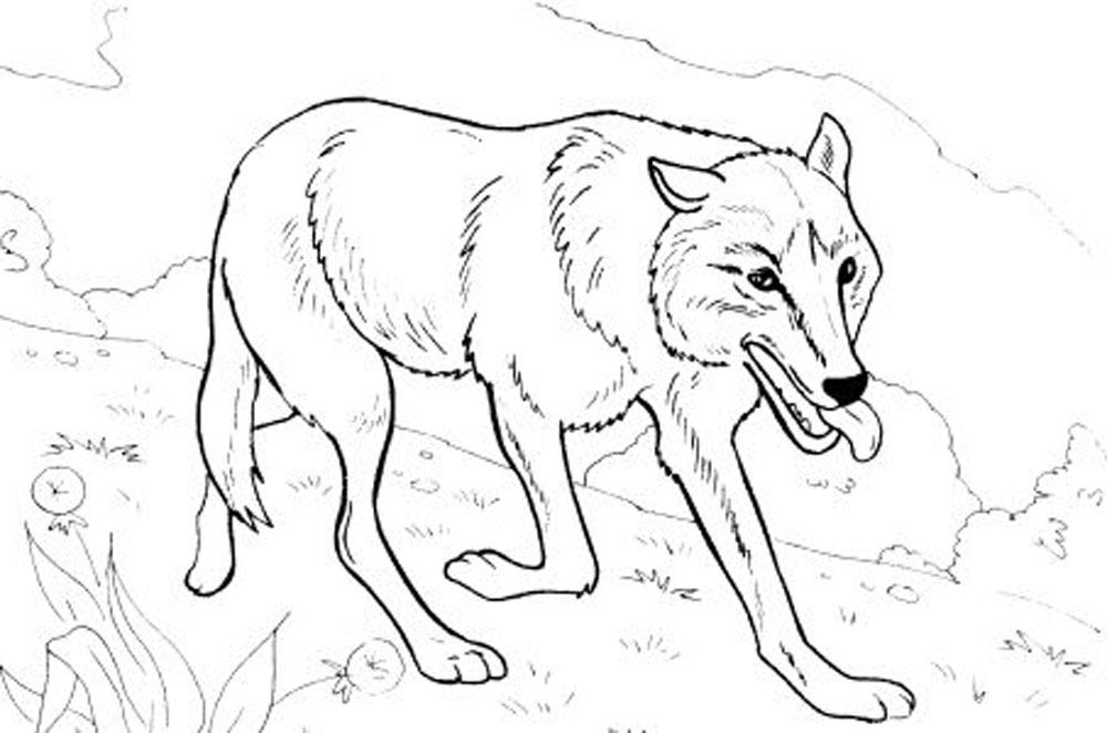 Print & Download - Wolf Coloring Pages Theme