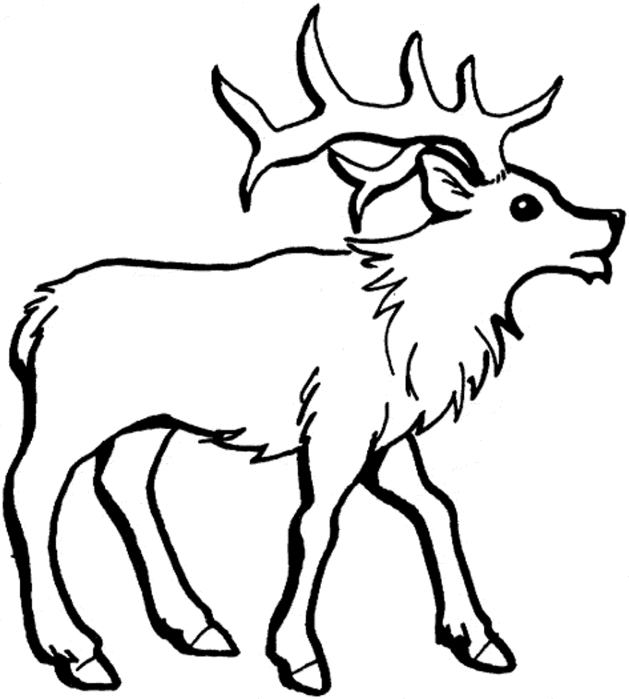 Print & Download - Deer Coloring Pages for Totally Enjoyable Leisure