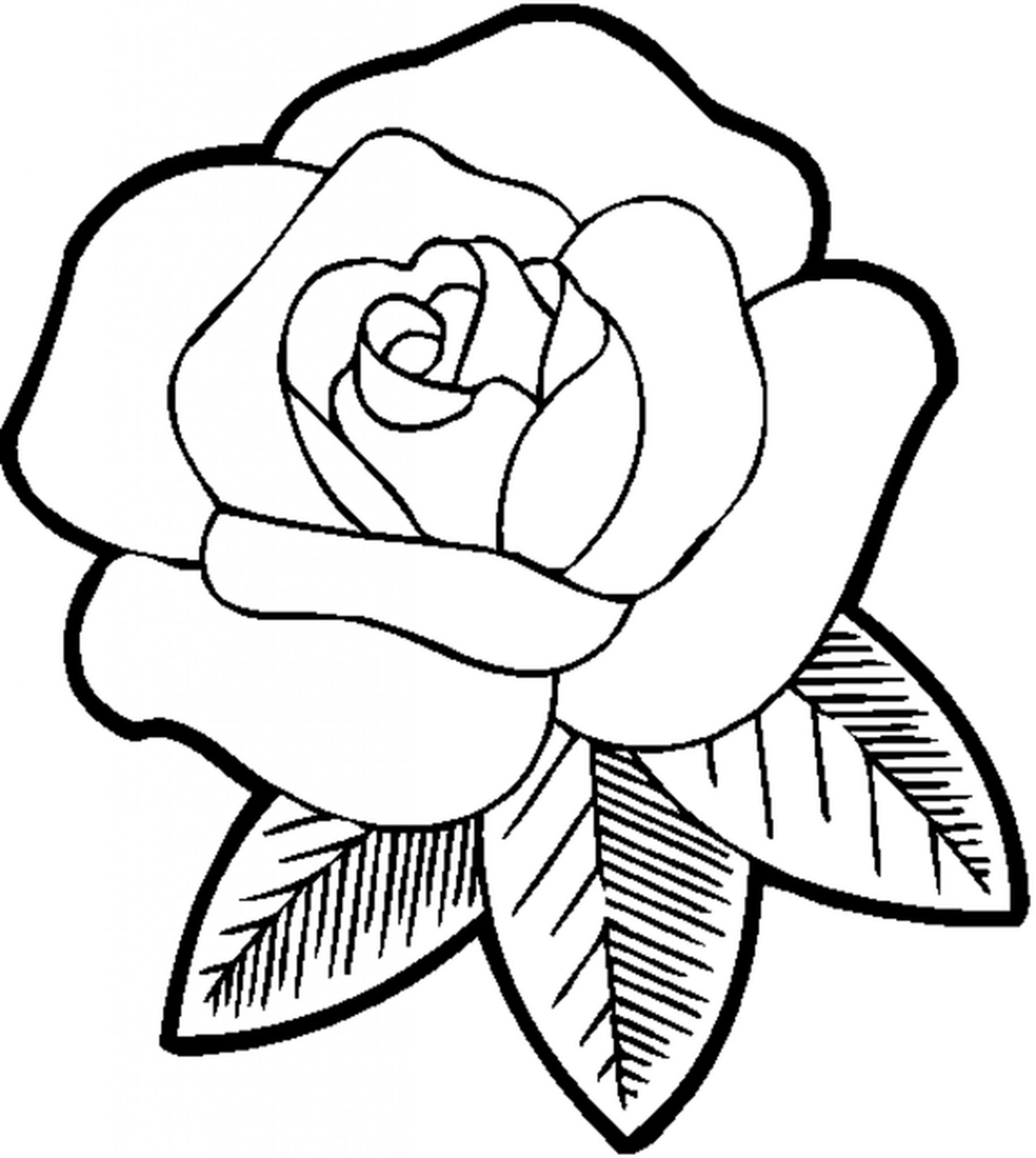 rose flower coloring pages for girls     BestAppsForKids.com