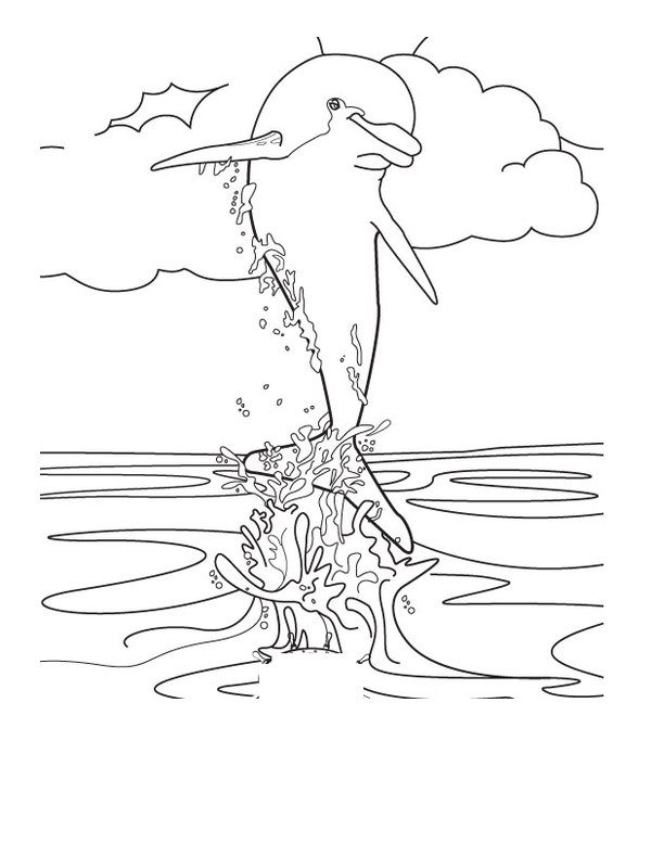 spinner-dolphin-coloring-page | | BestAppsForKids.com