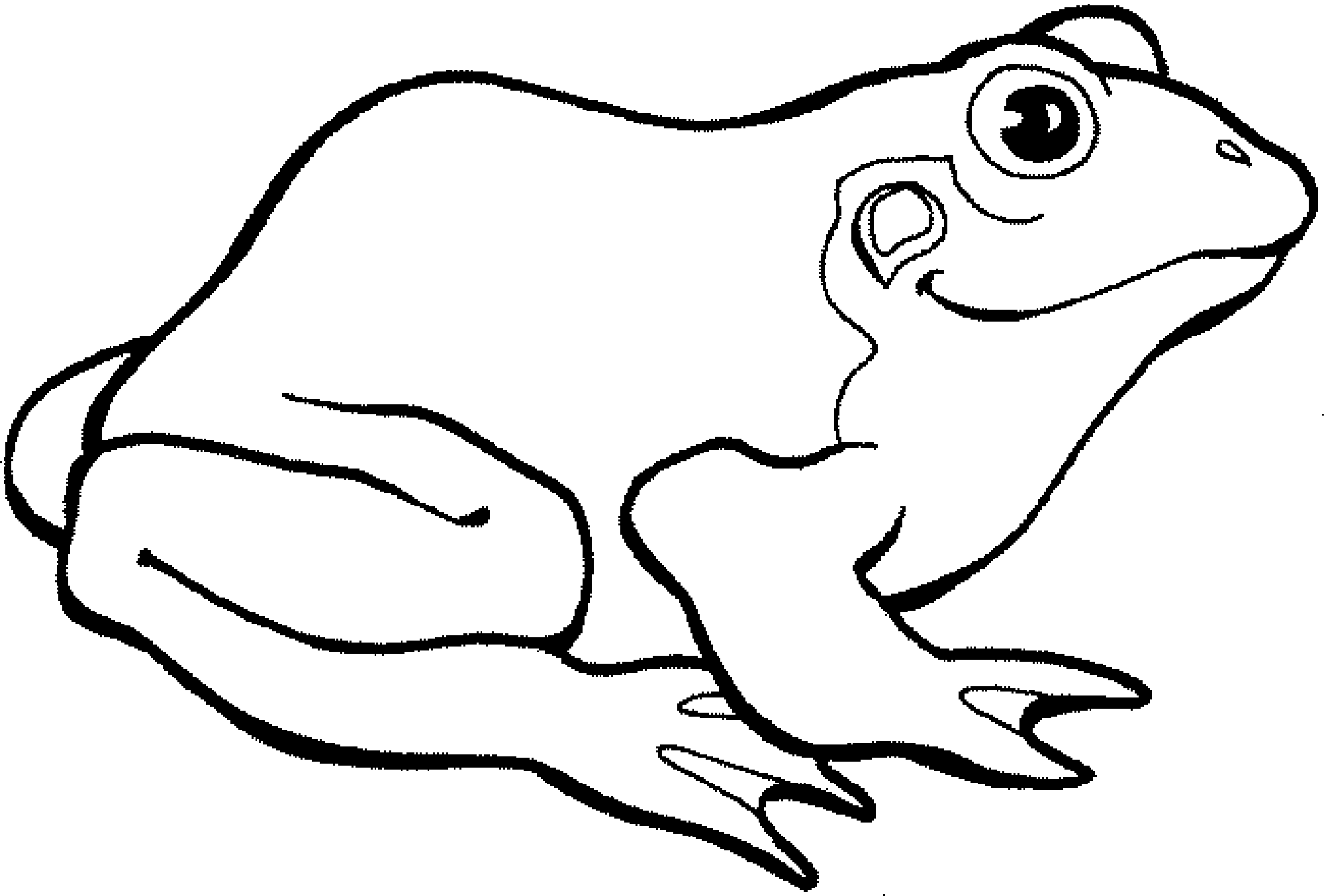 tree frog coloring pages printable