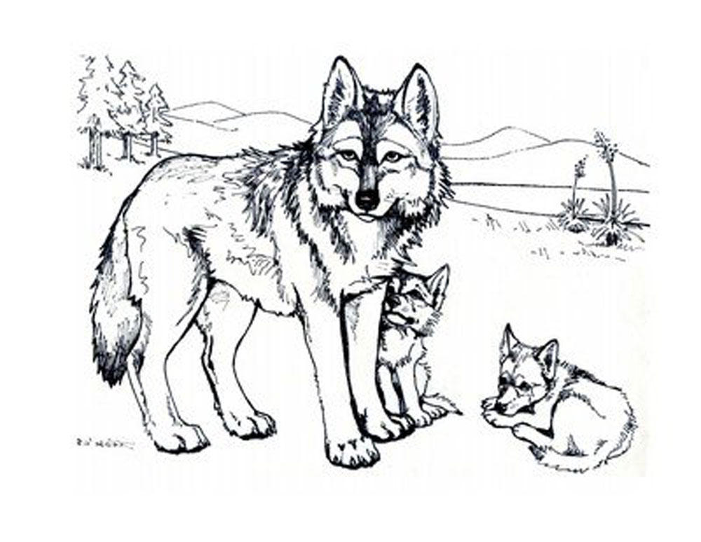 Print & Download - Wolf Coloring Pages Theme