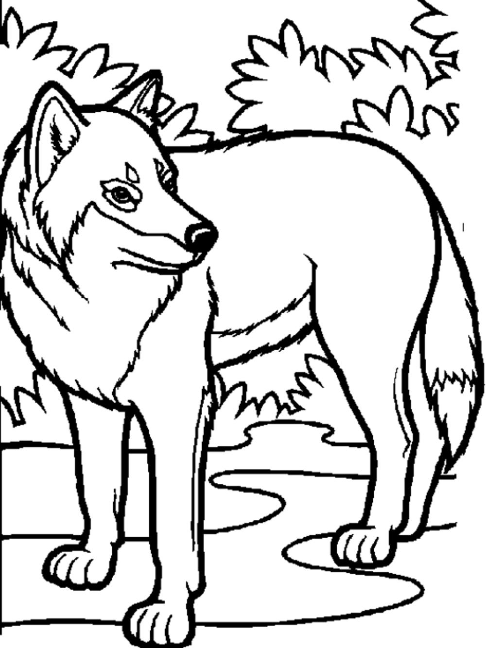 Print & Download - Wolf Coloring Pages Theme