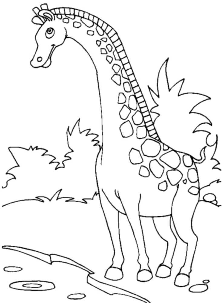 cartoon-giraffe-coloring-pages | | BestAppsForKids.com