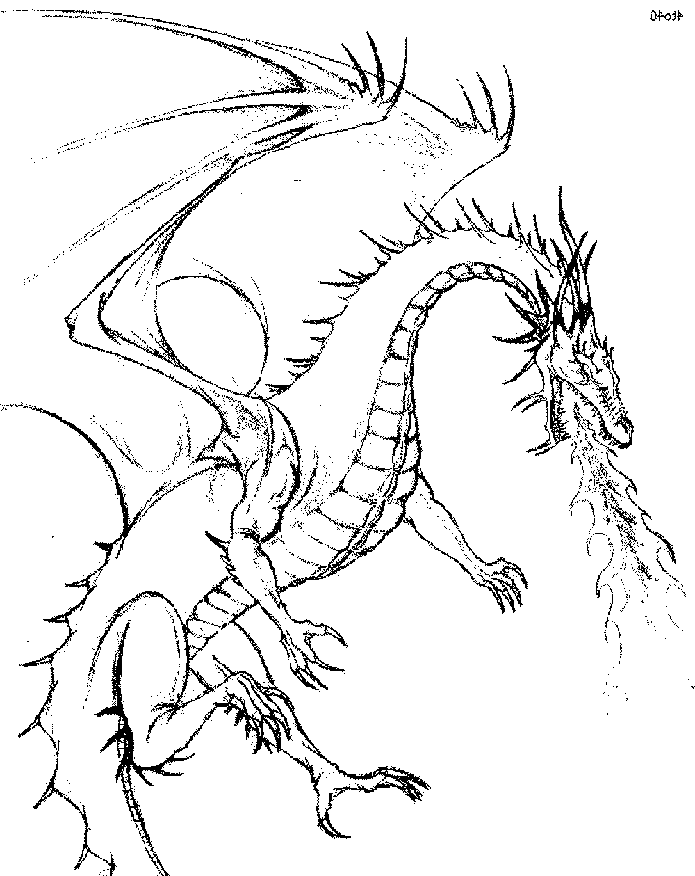 Download Color the Dragon Coloring Pages in Websites