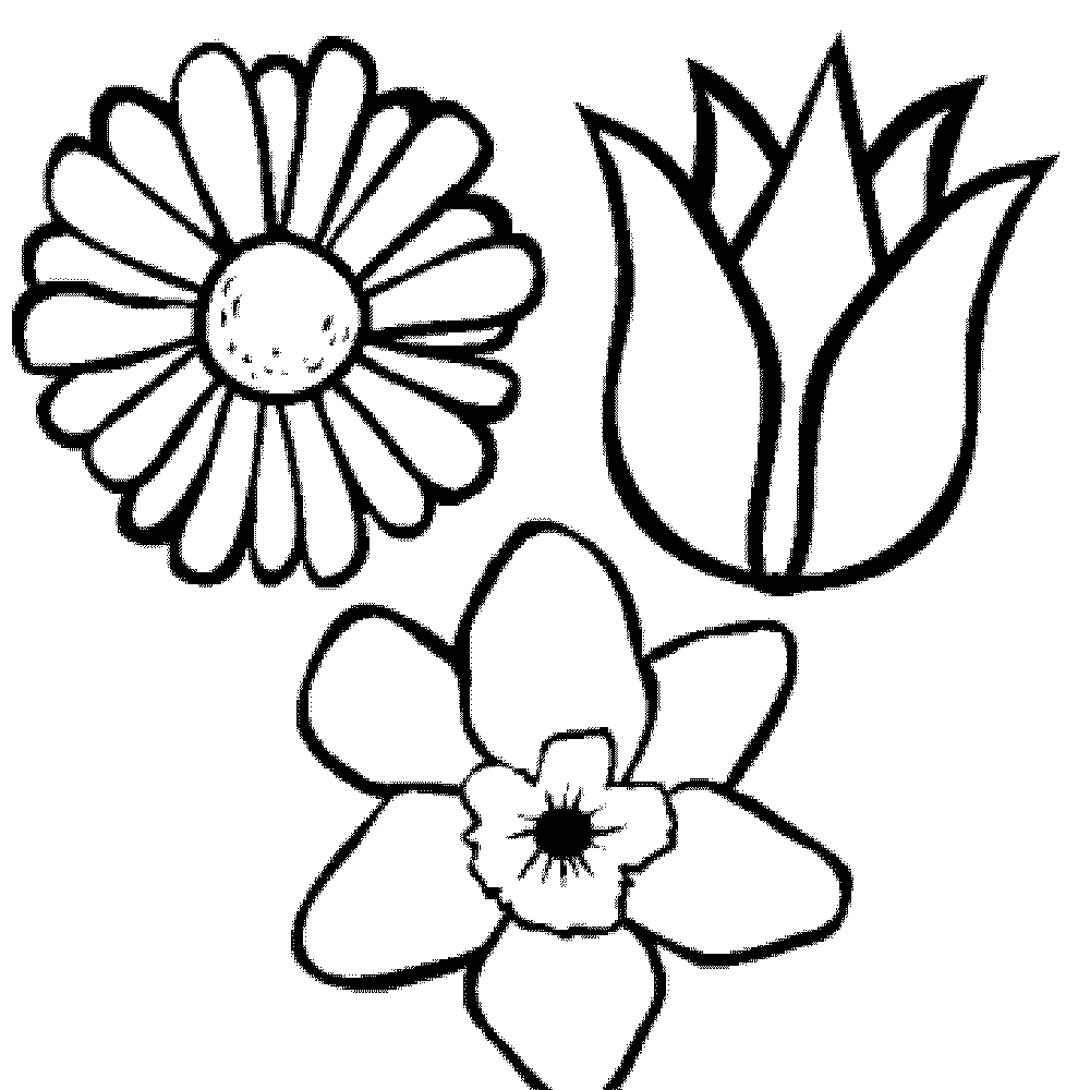 coloring-pages-for-adults-flowers | | BestAppsForKids.com