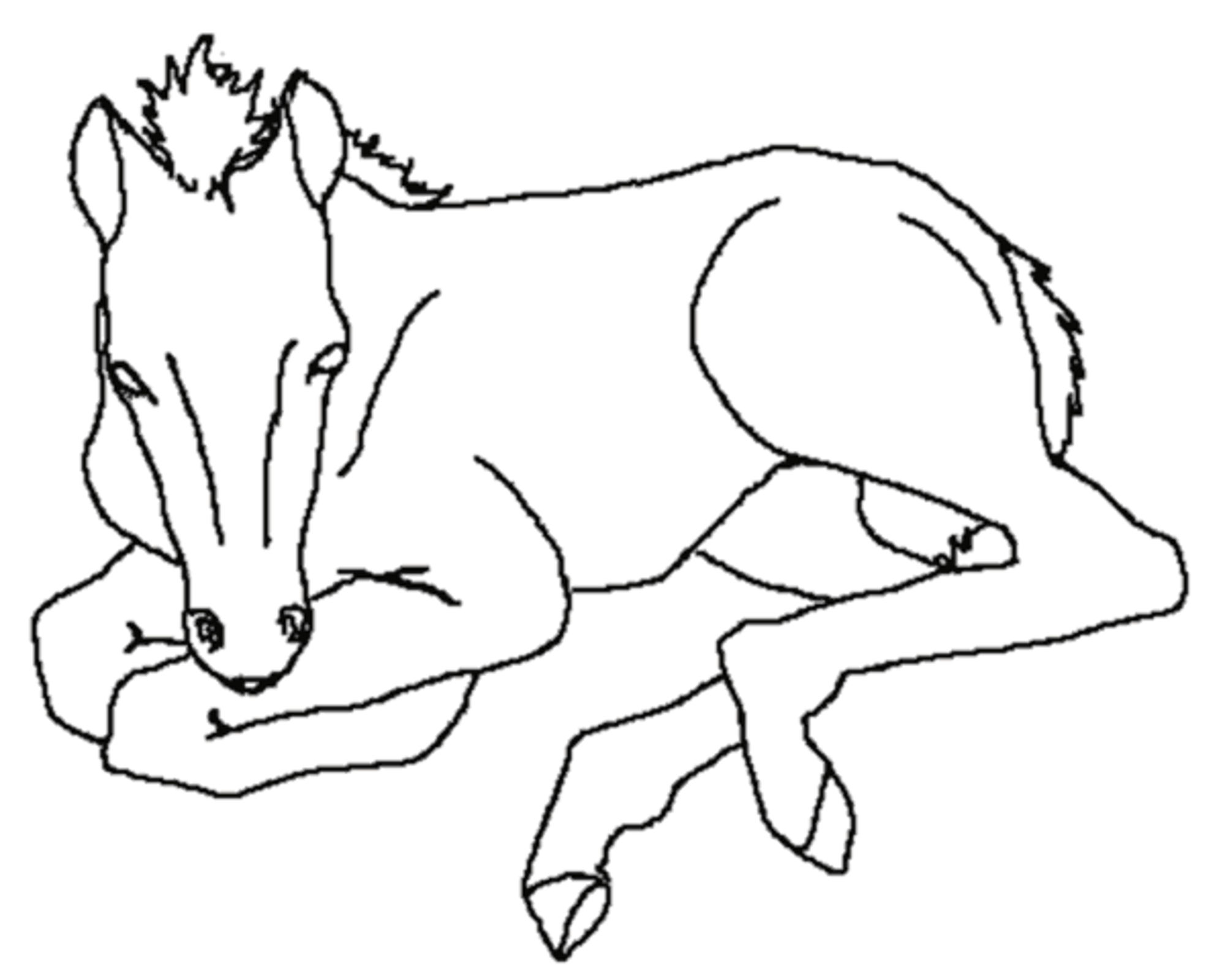 Download Fun Horse Coloring Pages for Your Kids Printable