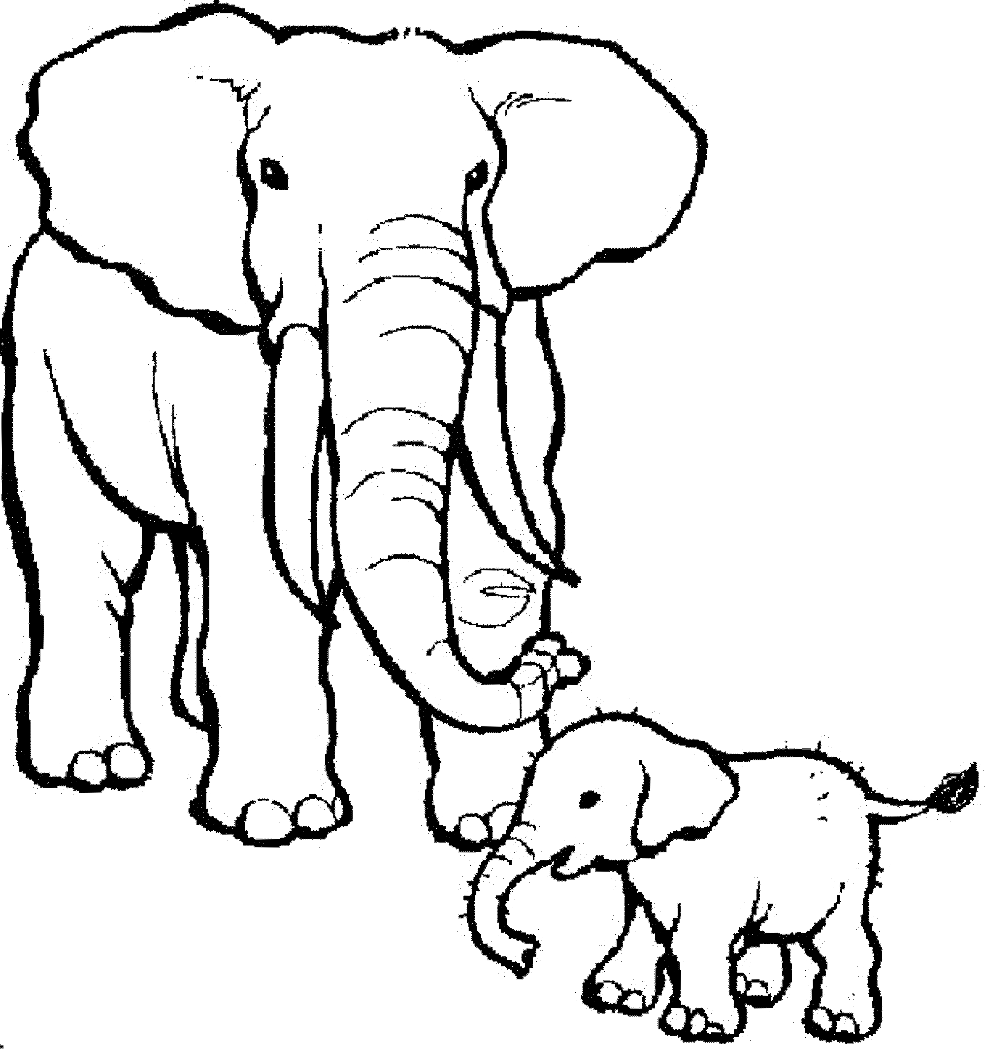 726 Cute Coloring Pages For Kids Elephant for Kids