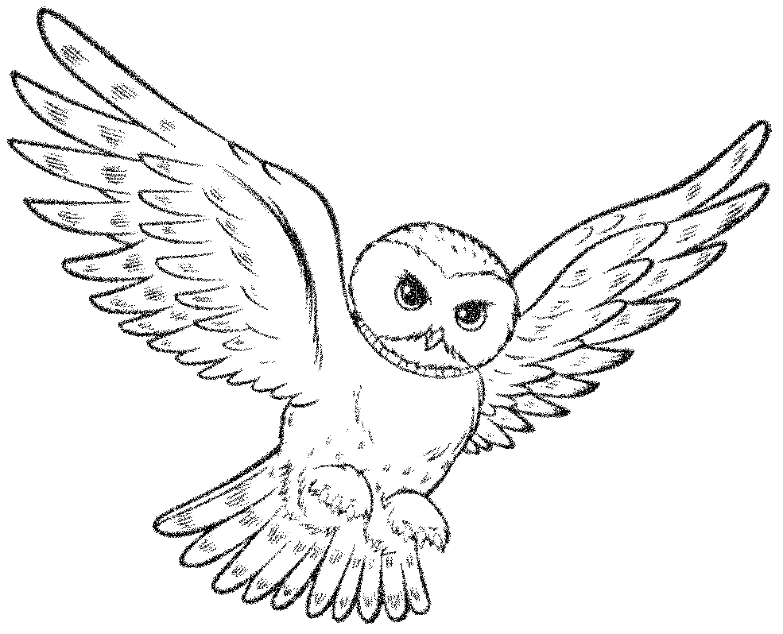 cool owl coloring pages