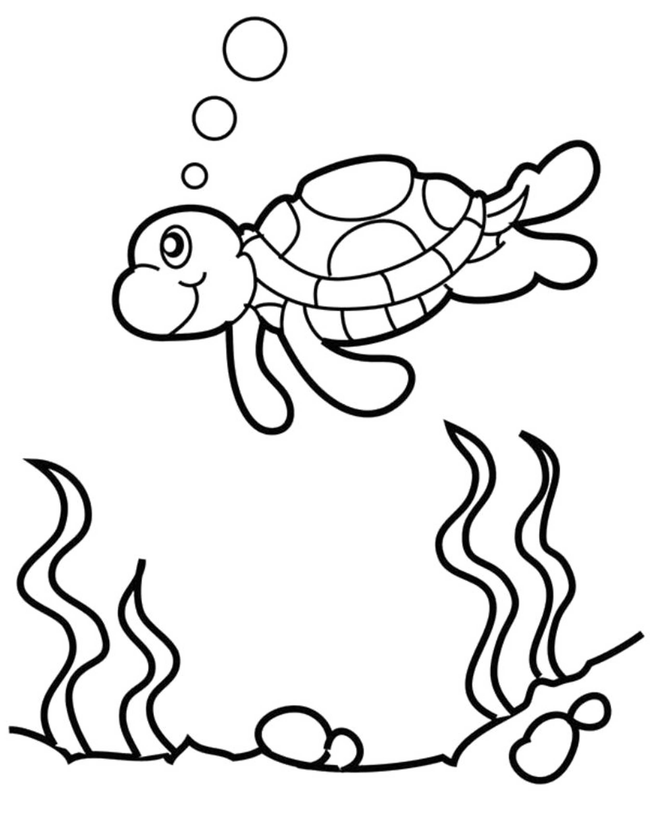 Cute Cartoon Turtle Pages Coloring Pages