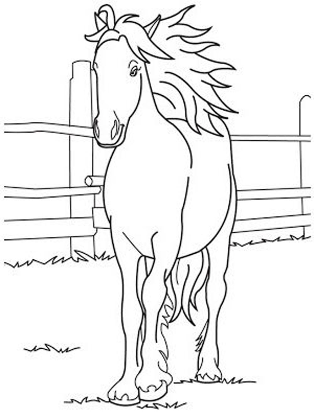 cute horse coloring pages