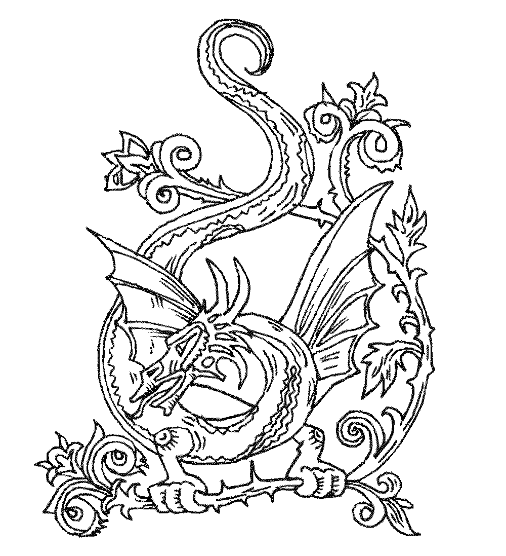 dragon printable coloring pages