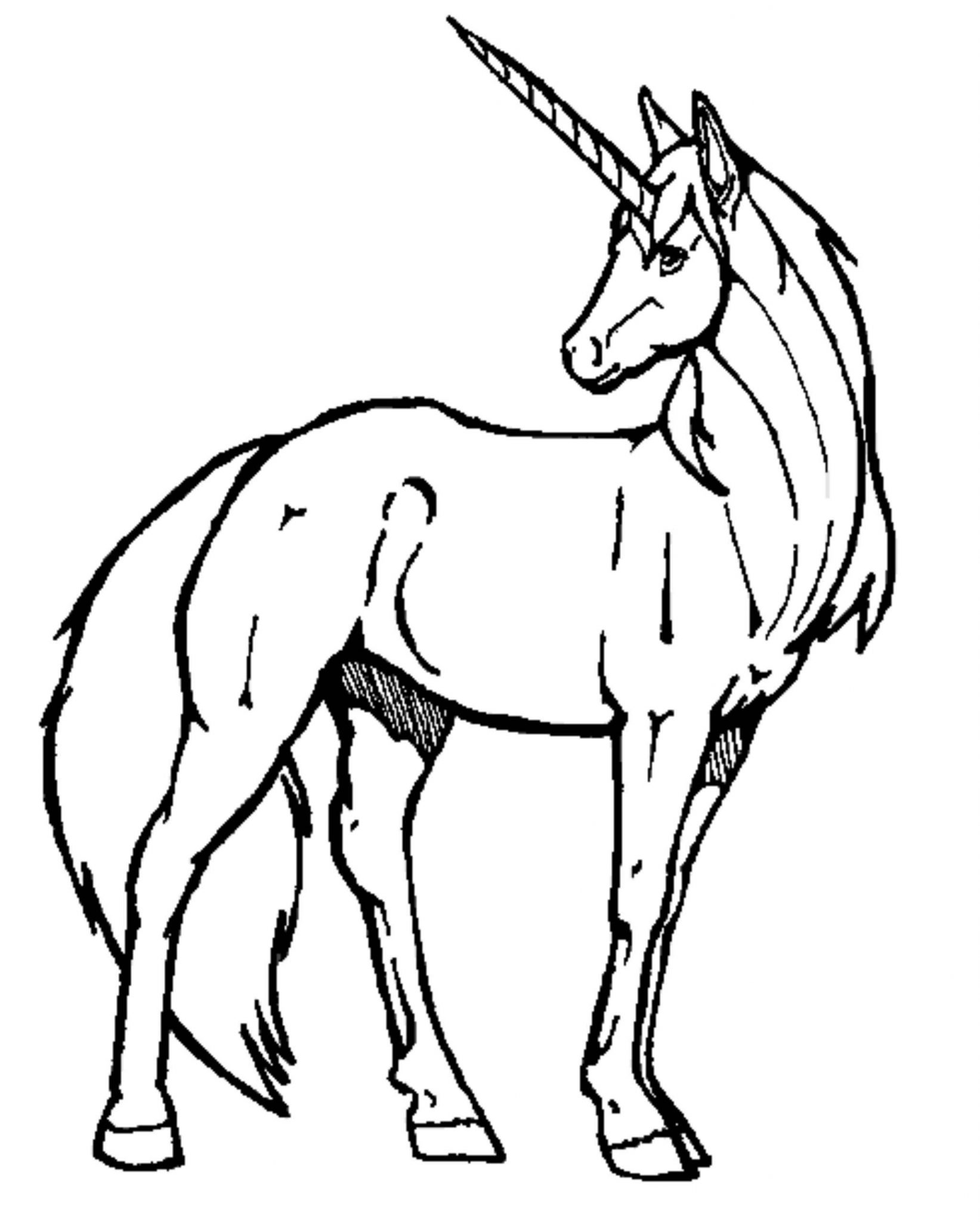 Print  Download  Unicorn Coloring Pages for Children